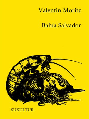 cover image of Bahía Salvador